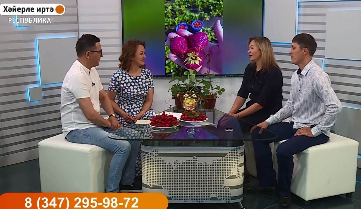 Хәйерле иртә, Республика! - 06.06.22 Йәй тәме