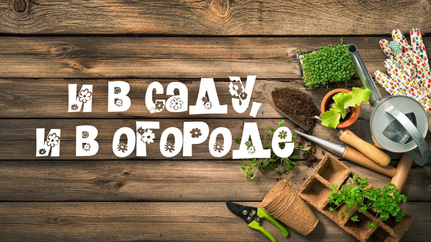 И в саду, и в огороде - 30.01.2023 Посев рассады в январе-феврале