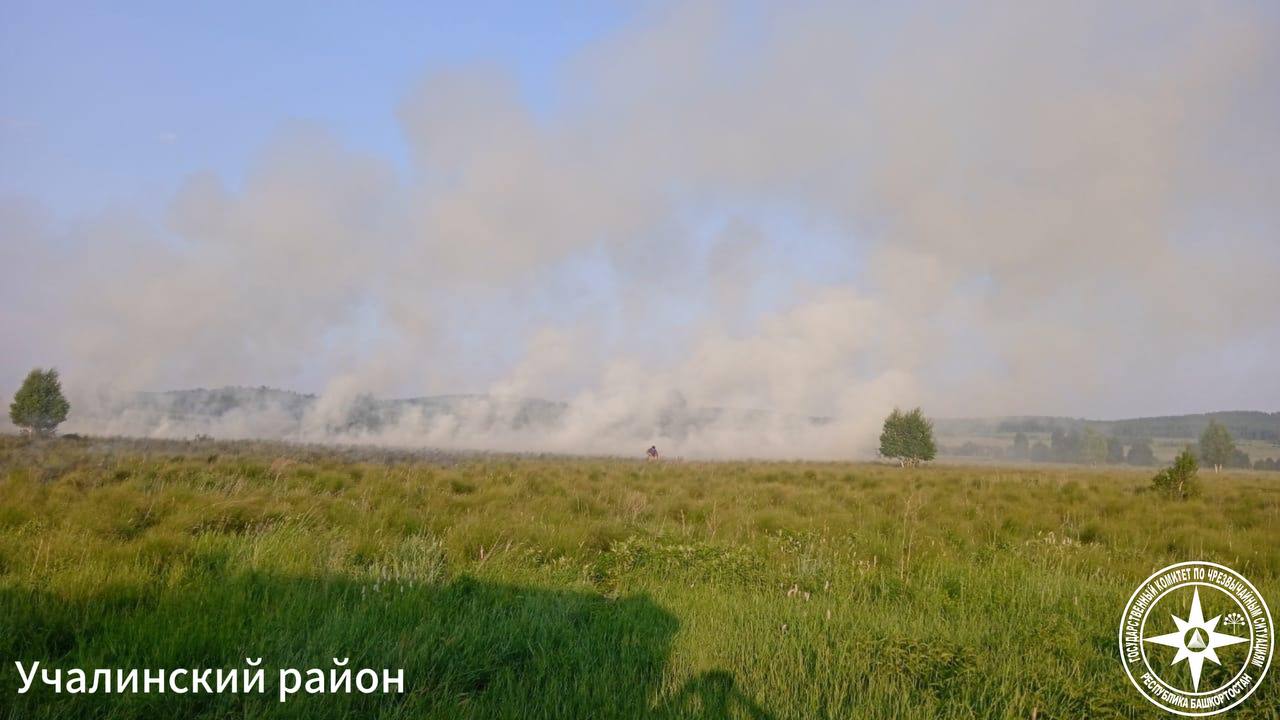Два возгорания сухой травы зарегистрировано в Башкортостане за сутки