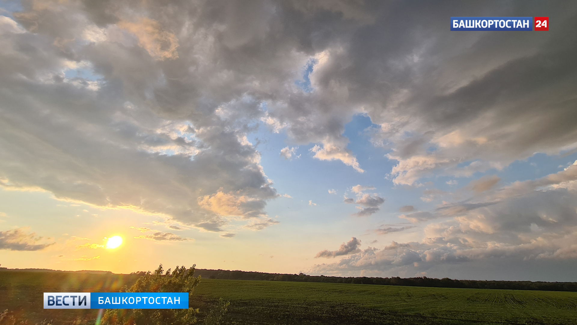 Синоптики рассказали, когда закончатся дожди в Башкирии | ГТРК «Башкортостан» Синоптики рассказали, когда закончатся дожди в Башкирии