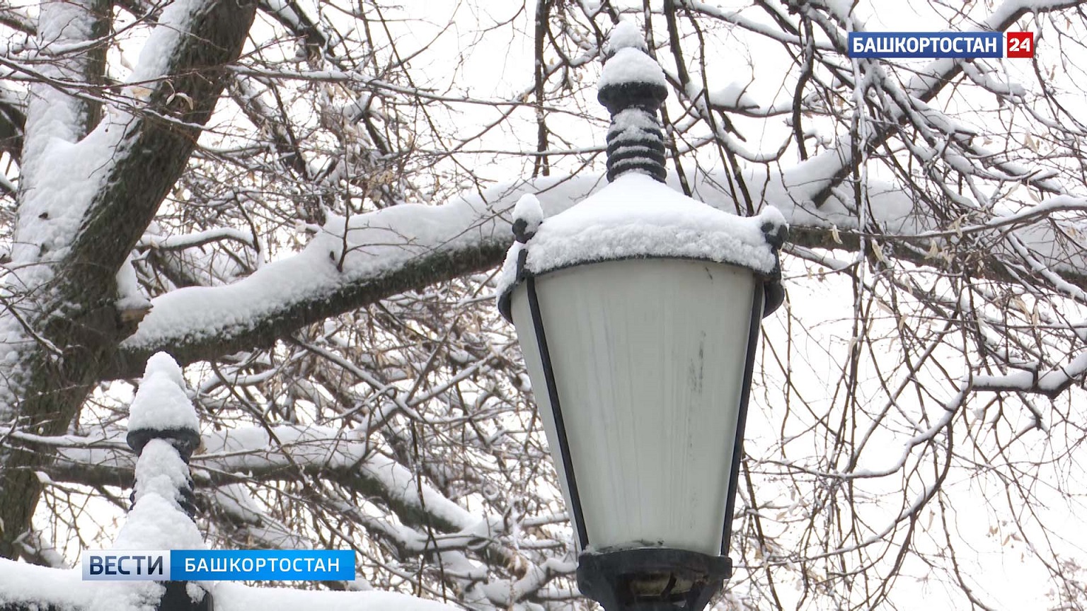 На 4-8° выше нормы: в Башкирию придет аномальное тепло | ГТРК «Башкортостан» На 4-8° выше нормы: в Башкирию придет аномальное тепло