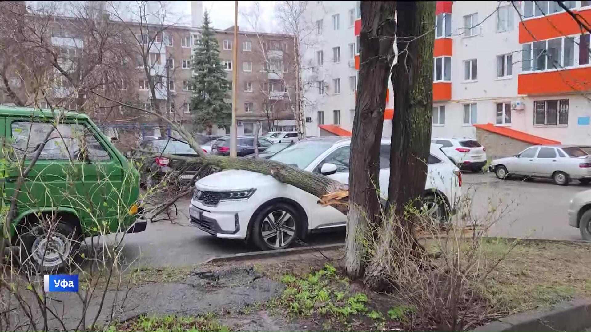 В Уфе зафиксировали более 10 случаев падения деревьев | ГТРК «Башкортостан» В Уфе зафиксировали более 10 случаев падения деревьев