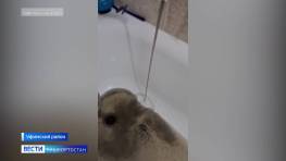Жители новых ЖК в Миловке под Уфой жалуются на ржавую воду из крана