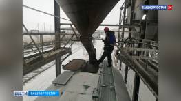 В январе маслозаводы Башкортостана экспортировали более 11 тыс. тонн подсолнечного шрота