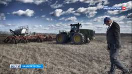 В 2026 году в Башкортостане на генетическую экспертизу КРС направят более 8 млн рублей