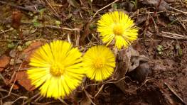 "Житейский вопрос" напомнит, как защититься от клещей 