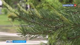 Синоптики Башкортостана дали прогноз на 28 мая