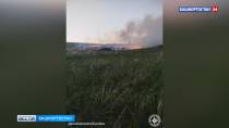 Два возгорания сухой травы зарегистрировано в Башкортостане за сутки | 0