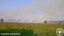 Два возгорания сухой травы зарегистрировано в Башкортостане за сутки | 2