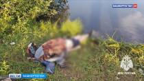 Двух мужчин извлекли из воды погибшими в Башкортостане | 0