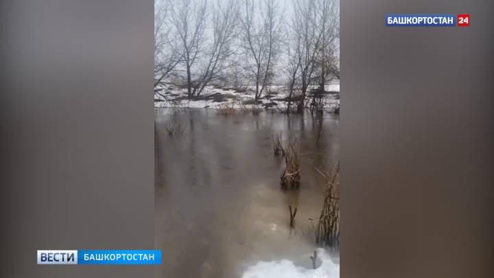 В уфимской Чесноковке талыми водами затопило огород | ГТРК «Башкортостан»