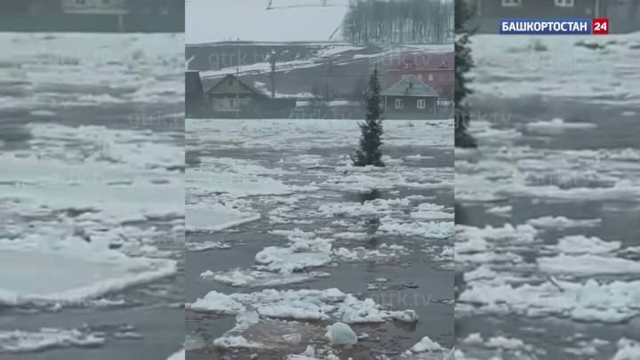 Плывет и не падает: елку посреди реки во время ледохода сняли на видео в Башкортостане | ГТРК «Башкортостан»