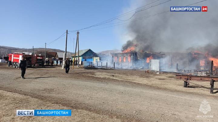 В крупном пожаре в Башкортостане погибло 18 голов мелко-рогатого скота | ГТРК «Башкортостан»