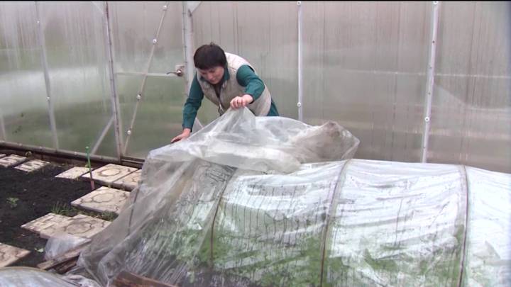 Жителей Башкортостана предупредили о надвигающихся заморозках и мокром снеге | ГТРК «Башкортостан»