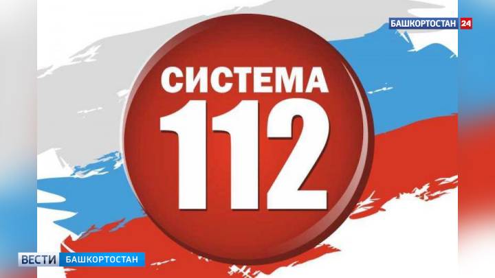В Туймазинском районе Башкортостана на делянке дерево упало на двух детей | ГТРК «Башкортостан»
