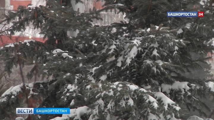 Жителей Башкортостана предупредили о сильном дожде со снегом и гололедице | ГТРК «Башкортостан»