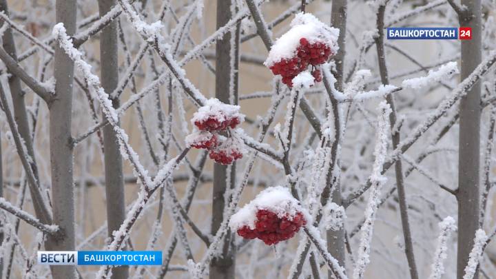 В выходные в Башкортостане пройдут дожди с мокрым снегом  | ГТРК «Башкортостан»